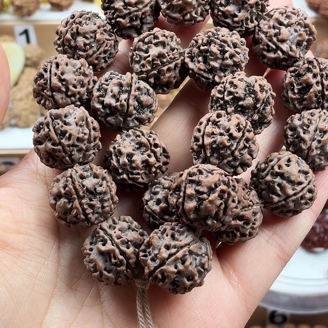 手串金刚菩提精品梅花蜂窝