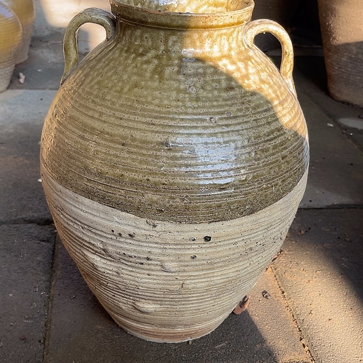 无花朵鲜花和小红花一起