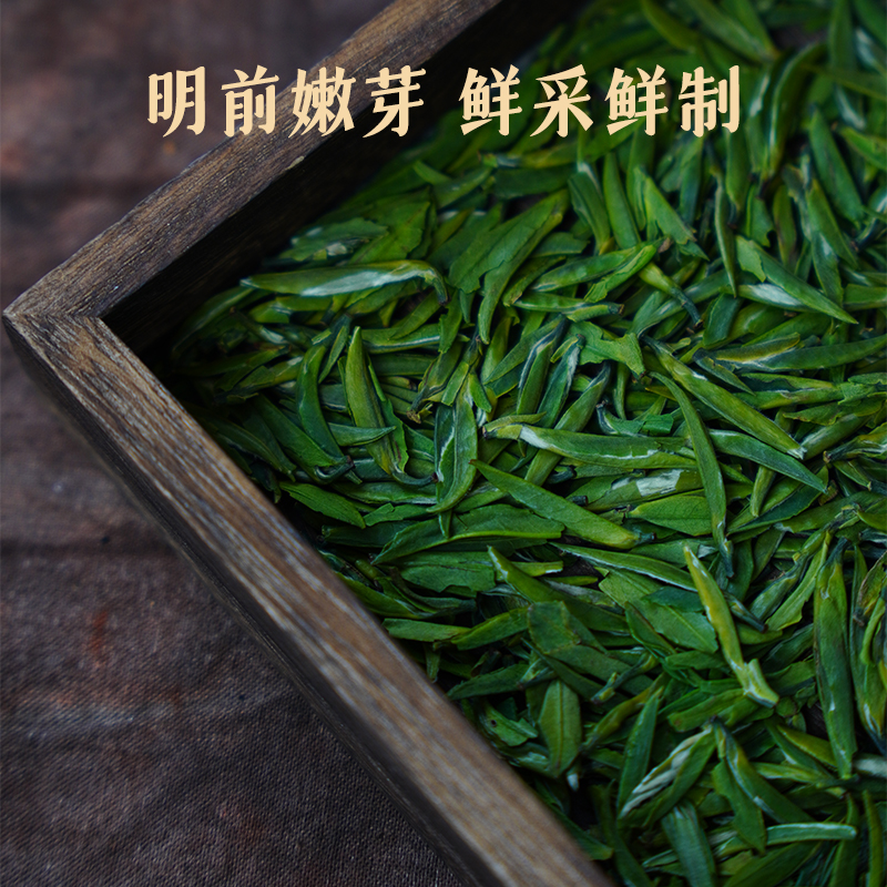 【大海专属】【雀舌礼盒】蒙顶雀舌新茶嫩茶早春茬