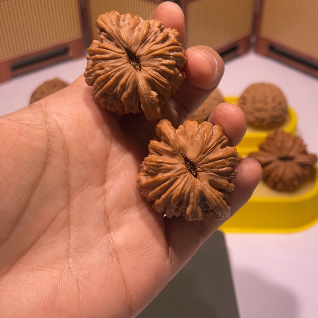 断***牙核桃41全品四座楼