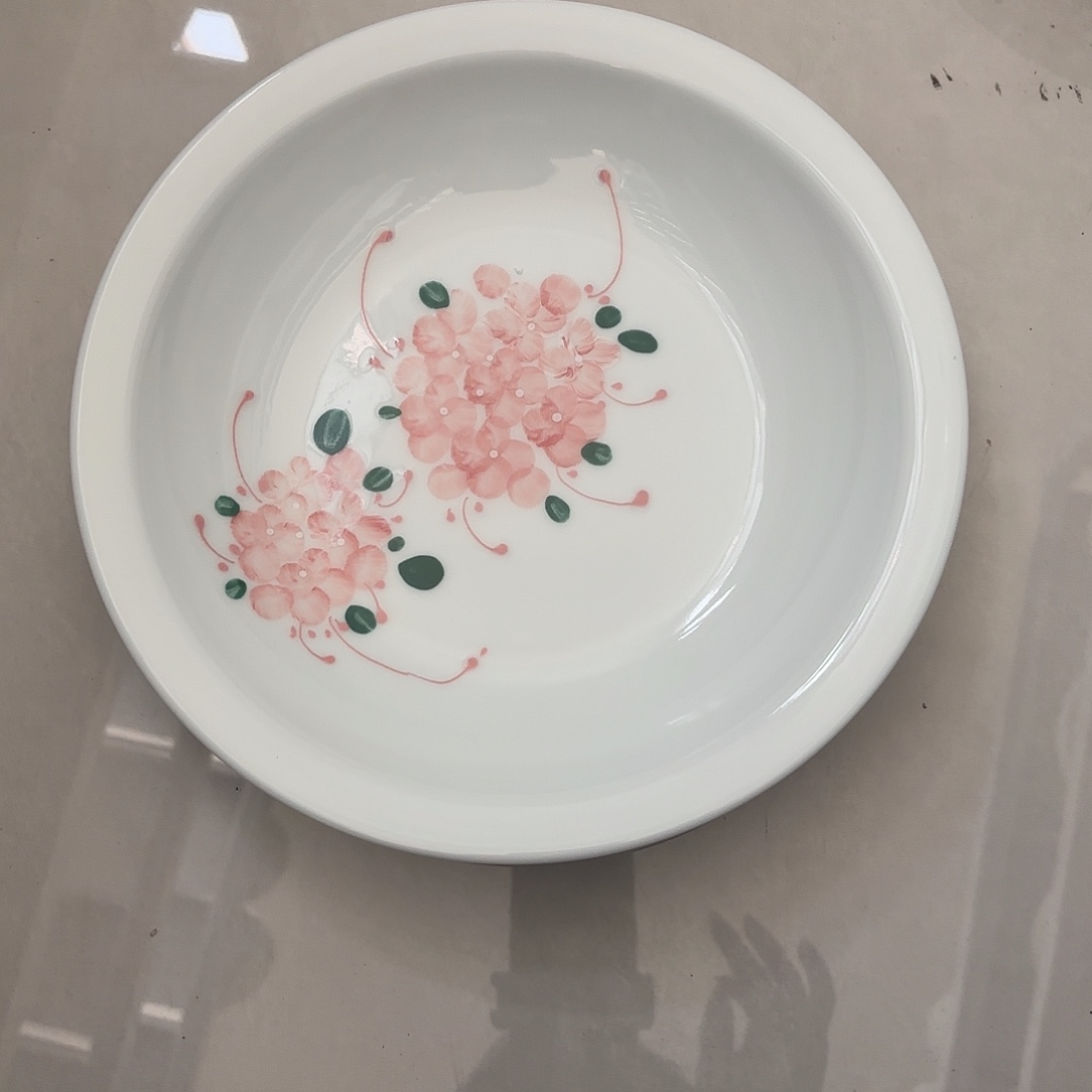 瓷景德镇手绘餐具