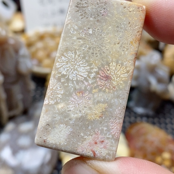 硅化珊瑚（珊瑚玉）颈饰未镶嵌