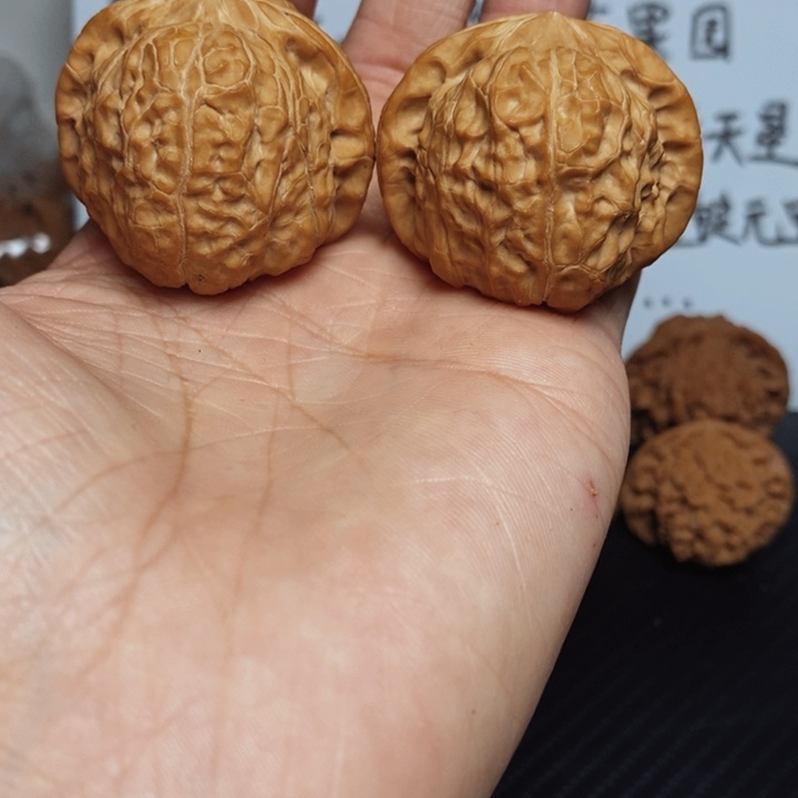 核桃41尺寸全品南瓜一对