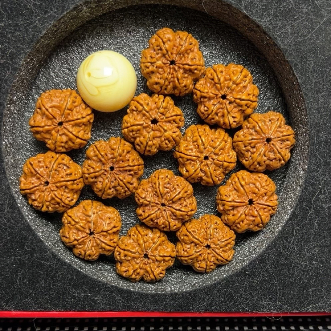 原生态雪花六辦，尼泊尔大金刚。