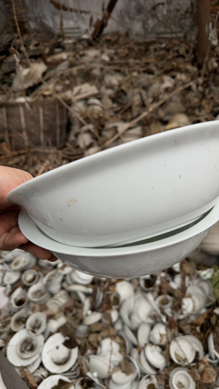 景德镇高温陶瓷 9 寸汤盆 2 只