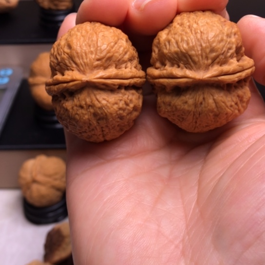 文玩核桃把件粗筋蚂蚁塔29