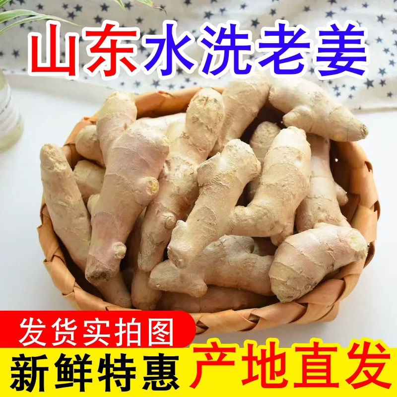 山东老黄姜现挖生姜老姜月子姜高山种植姜块单支