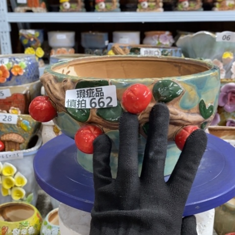 【闪购商品】红陶662