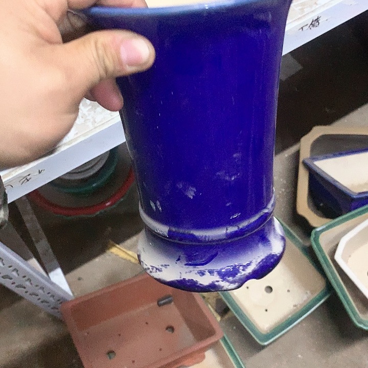 紫砂你就知道这就是为什么很多