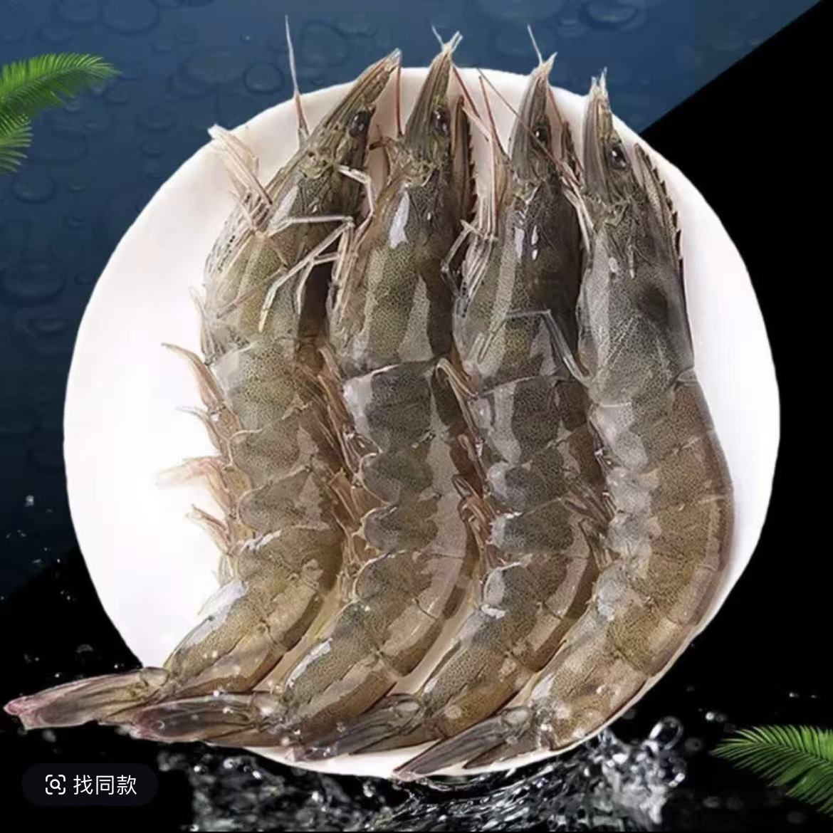 4斤海水大虾发货三斤送一斤试吃13-16cm左右活虾急冻锁鲜 肉质紧实 冷链包邮50-60只左右精品