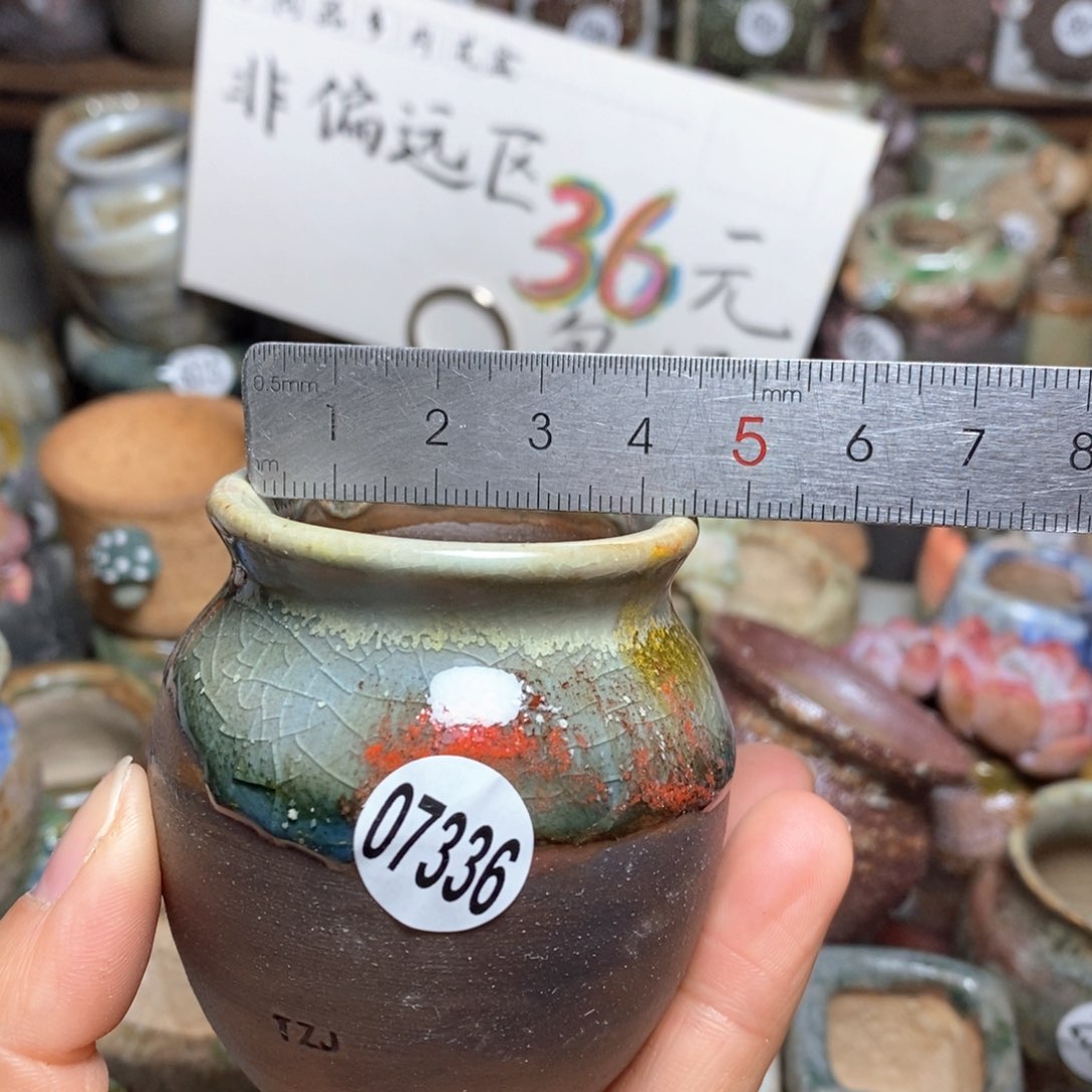 花盆拍5送一个小礼物