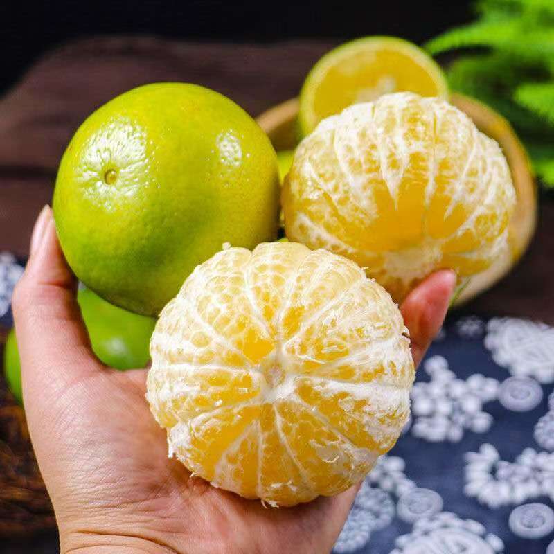 【展卉】广西皇帝柑5斤装单果55-60mm