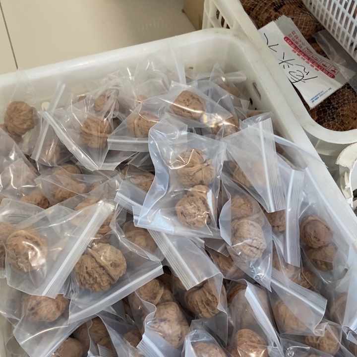 吊坠文玩核桃破烂蛙（两单起拍）