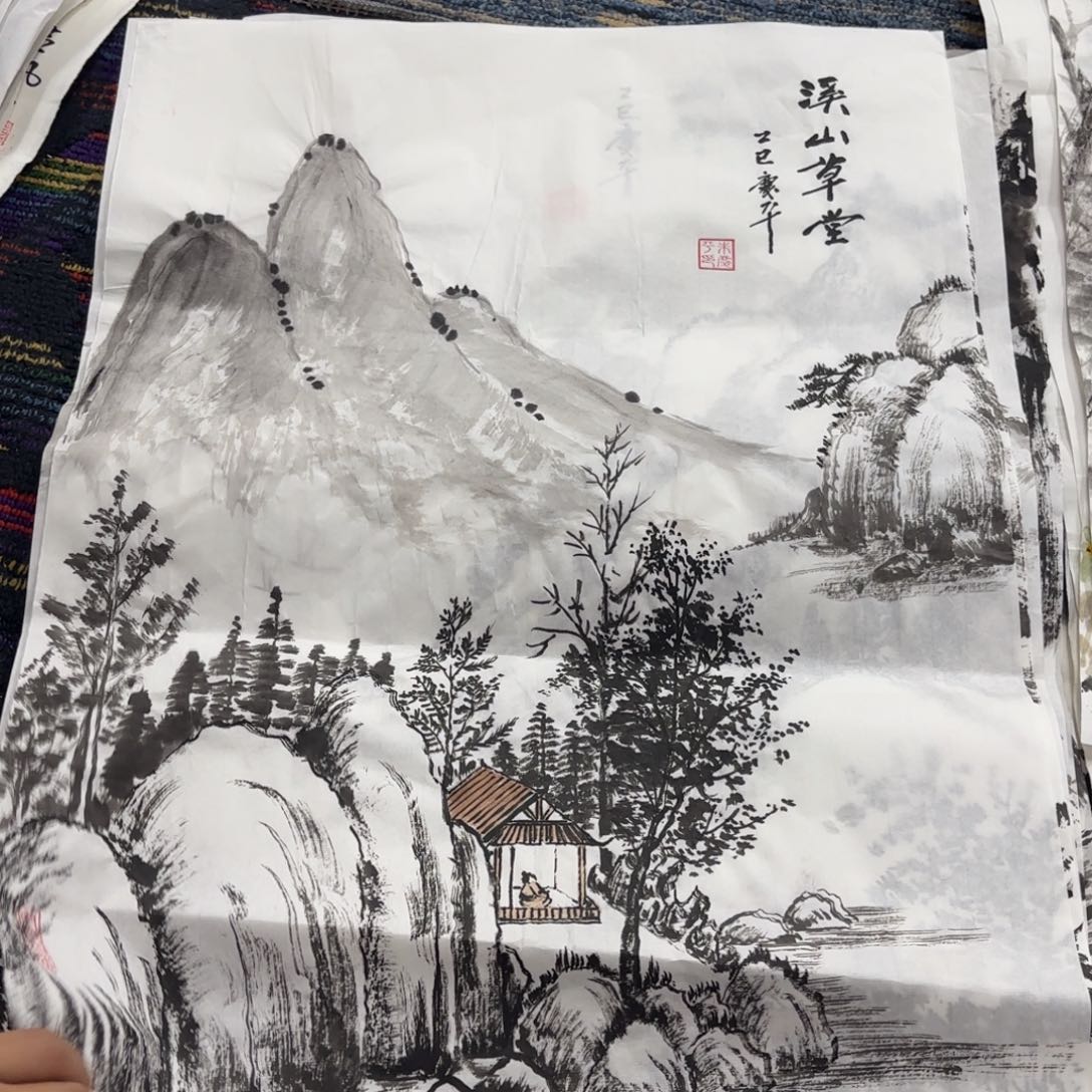 国画绘画作品 婉。