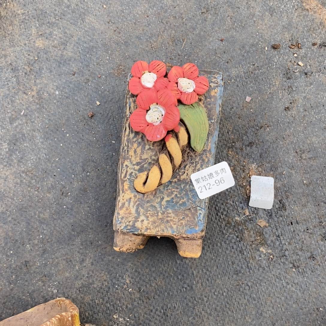 96号多肉盆一个呀