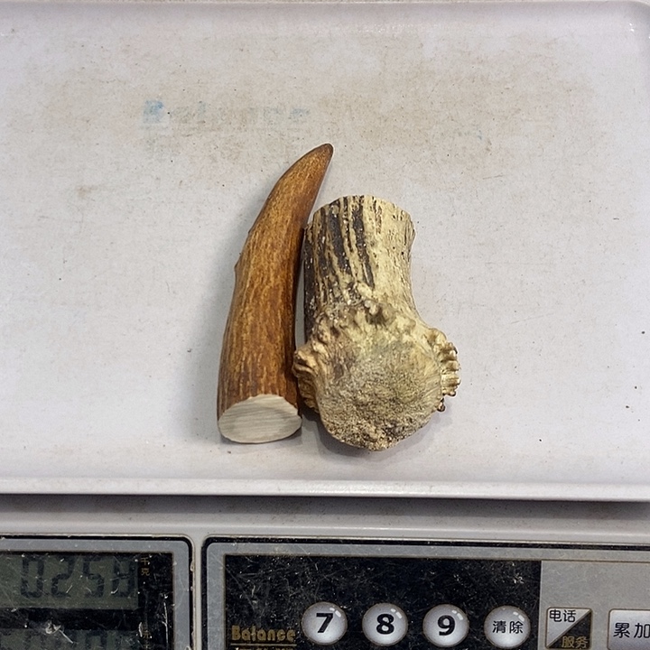 中国大陆鹿角盘玩手把件