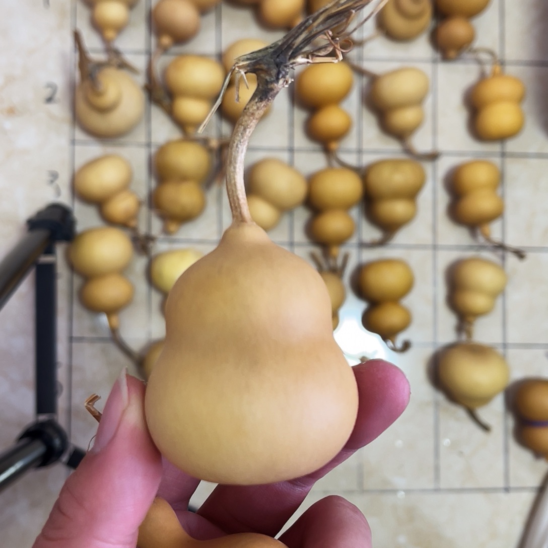 天然小奶瓶带龙头手把件