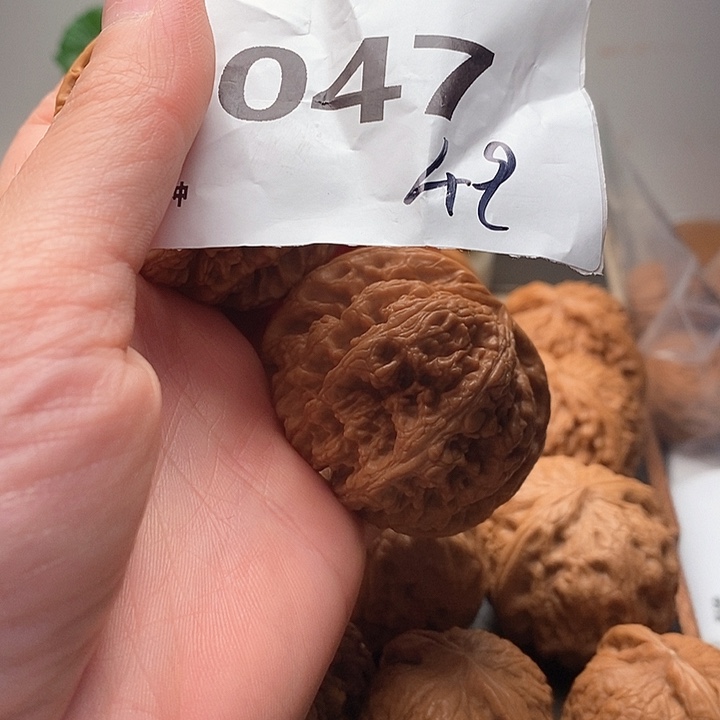 文玩核桃吊坠d**d粗筋047