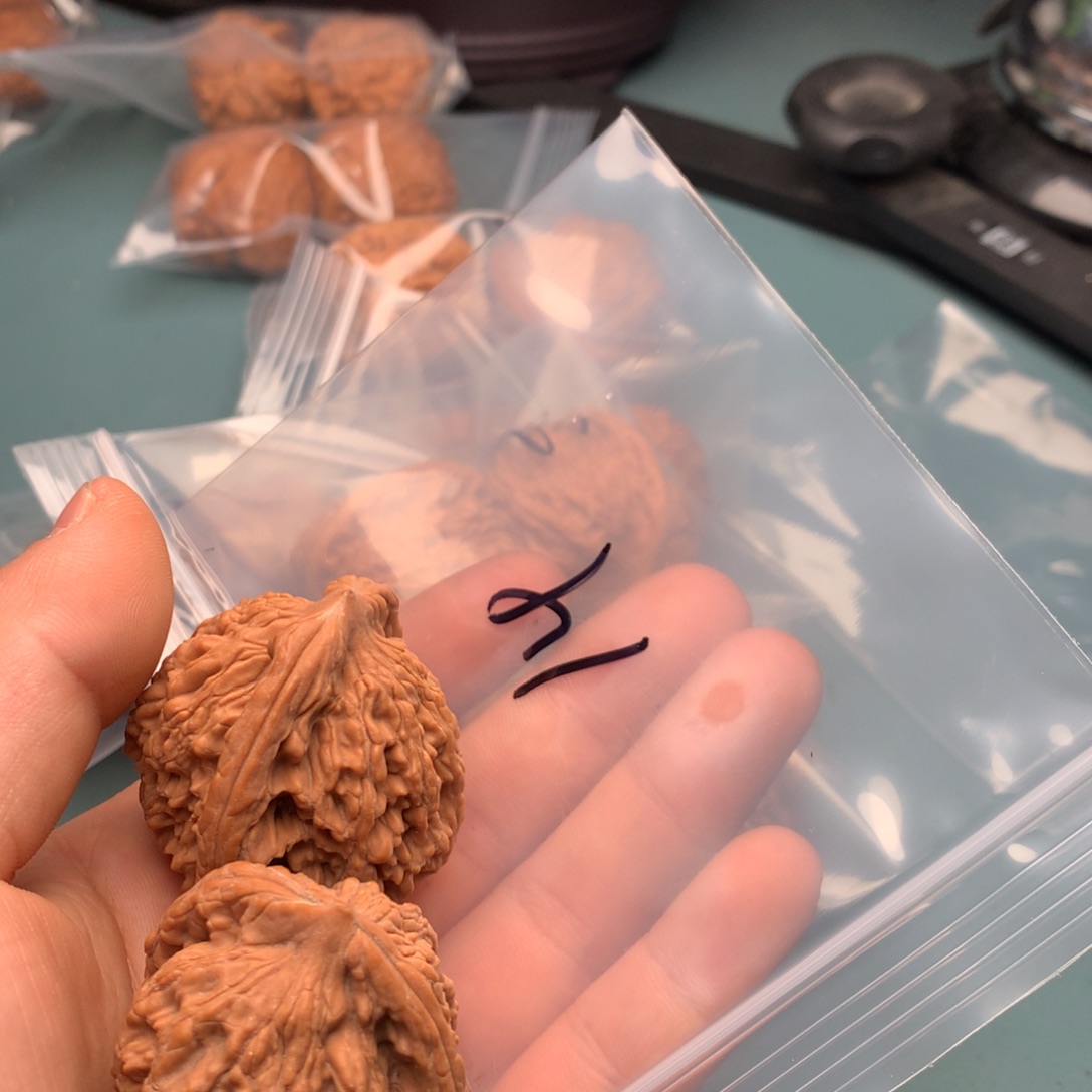 文玩核桃把件无**客虎头14