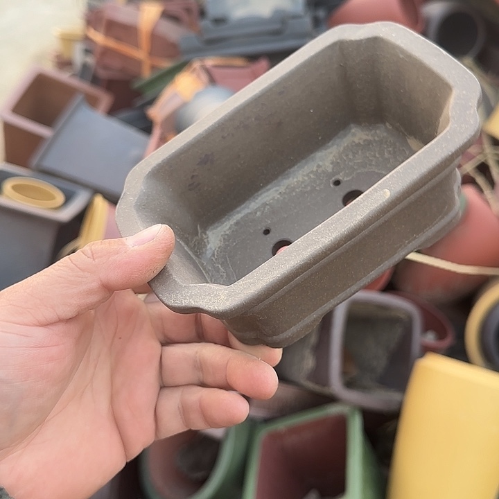 是一个不知名作家与著名导演兼电影演员们之间互相