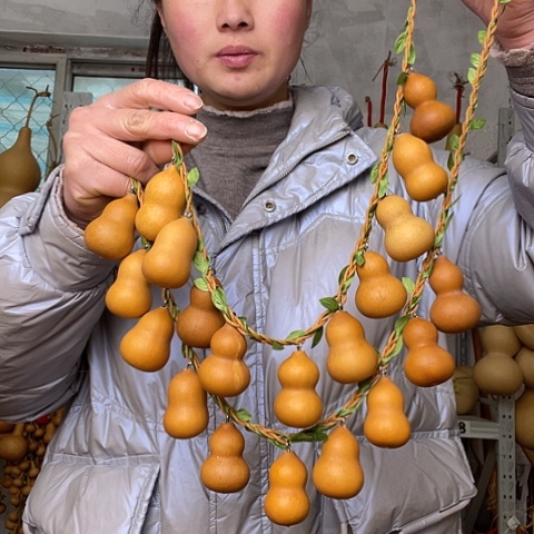 天然植物葫芦文玩