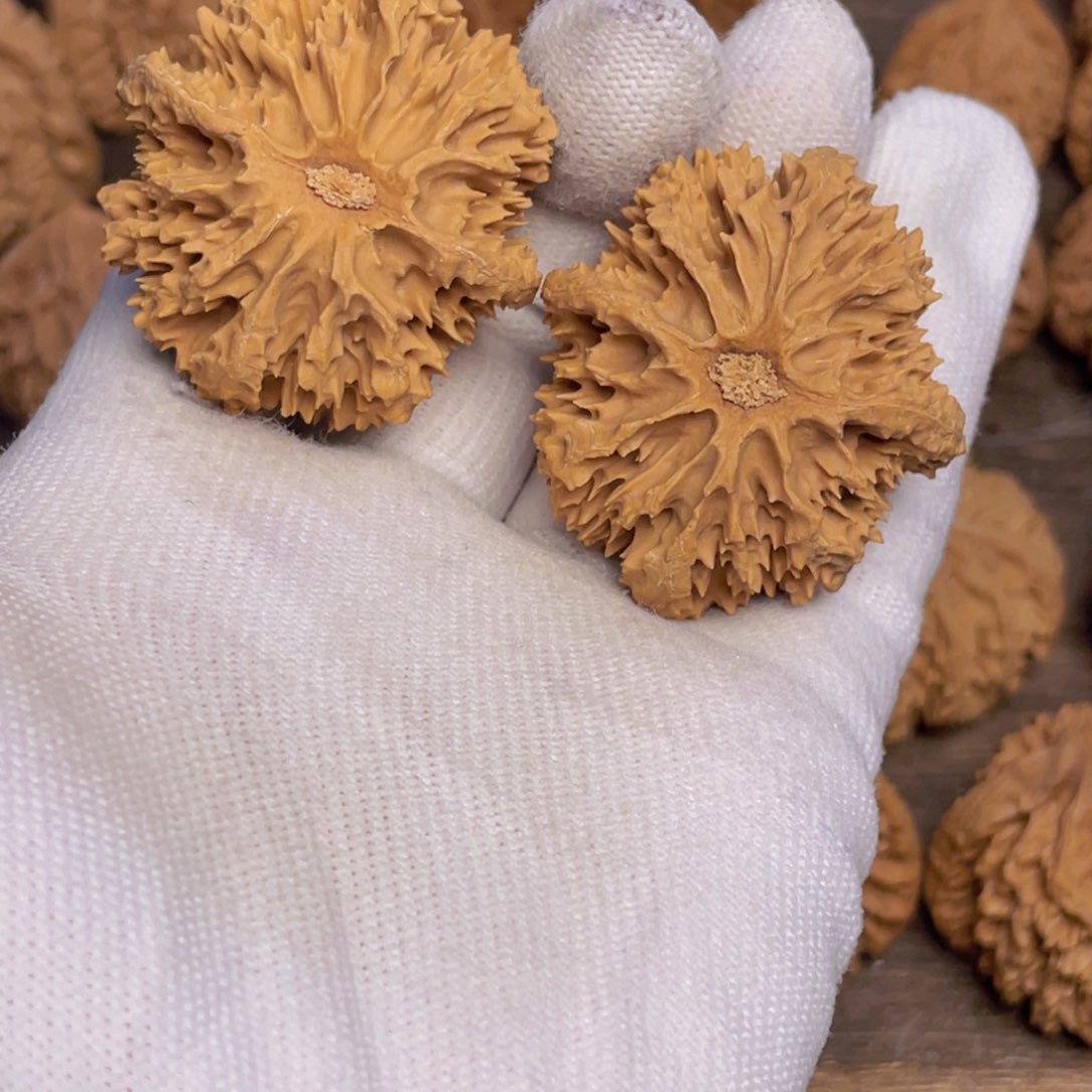 文玩核桃吊坠8 秦岭灯笼野生小众