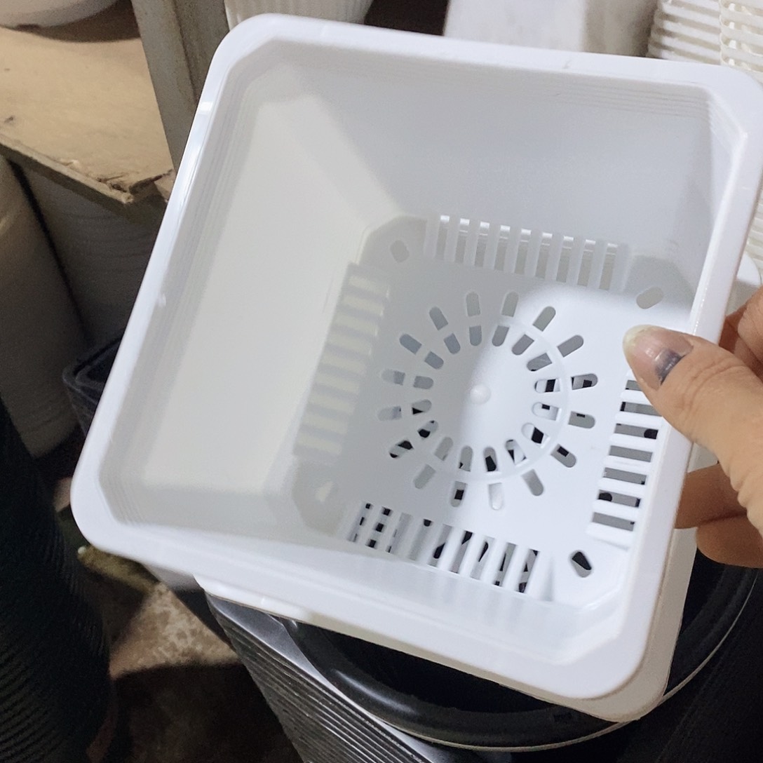 塑料新17公分白方盆10个