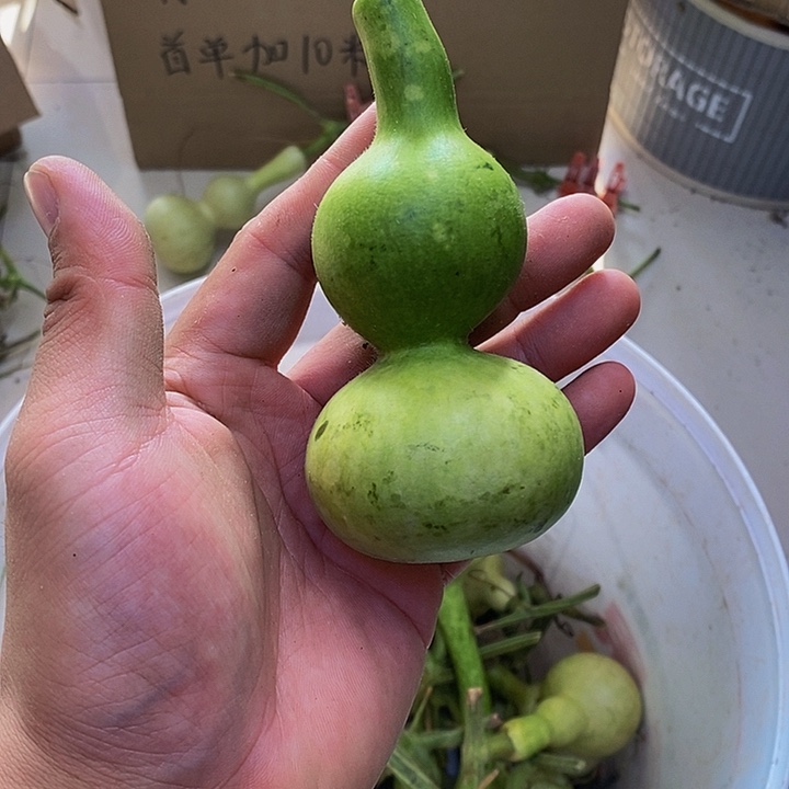 翰**院长嘴哈哈哈哈哈哈哈哈哈哈好