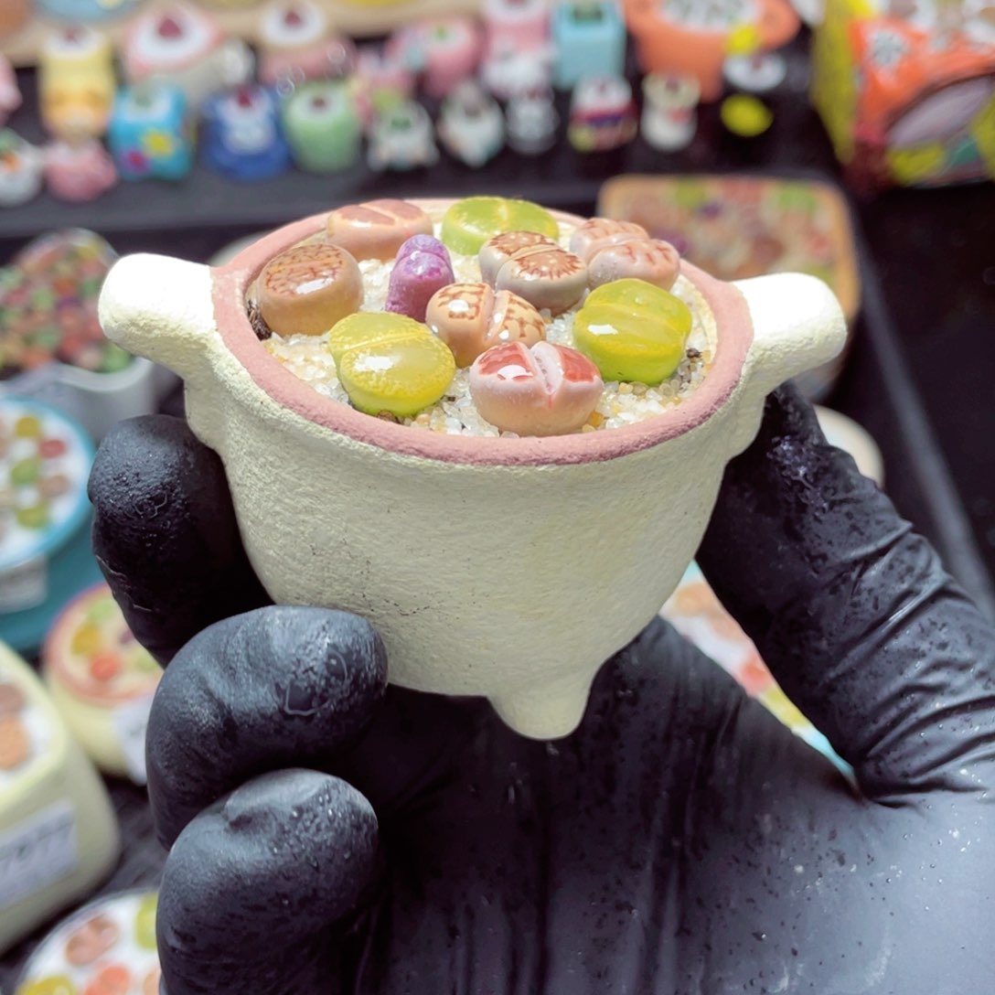 w7983--带盆土发货，零下地区拍保温箱