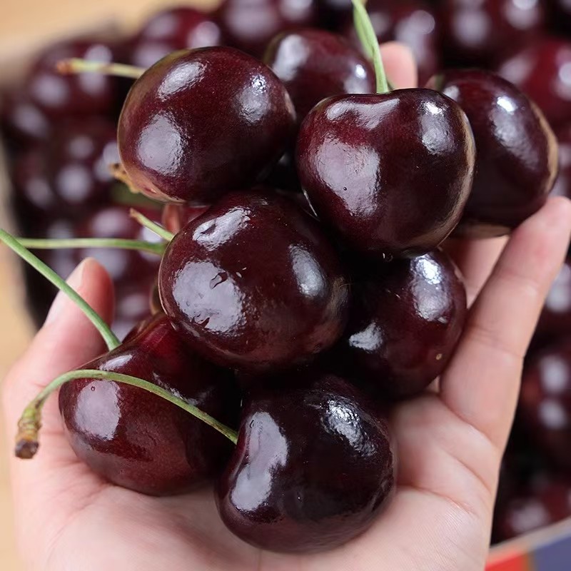 智利车厘子2J-3J五斤原箱