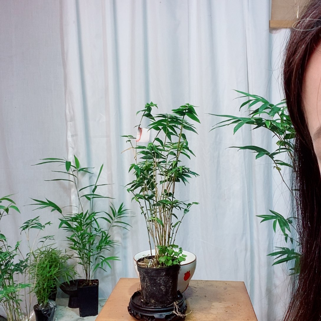 完全开放 22111141  2222