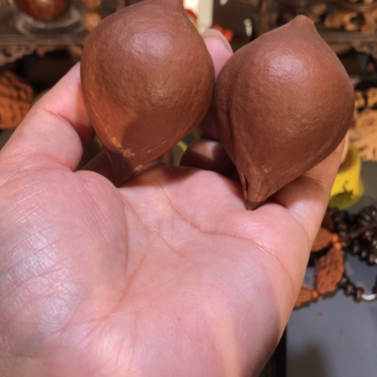 明***虫吊坠橄榄核红油橄榄41