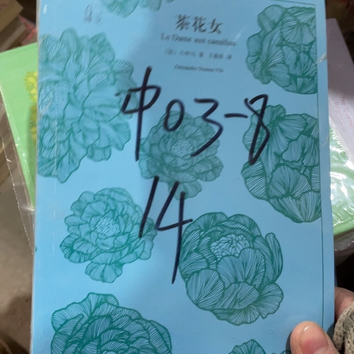 茶花女正版塑封书籍