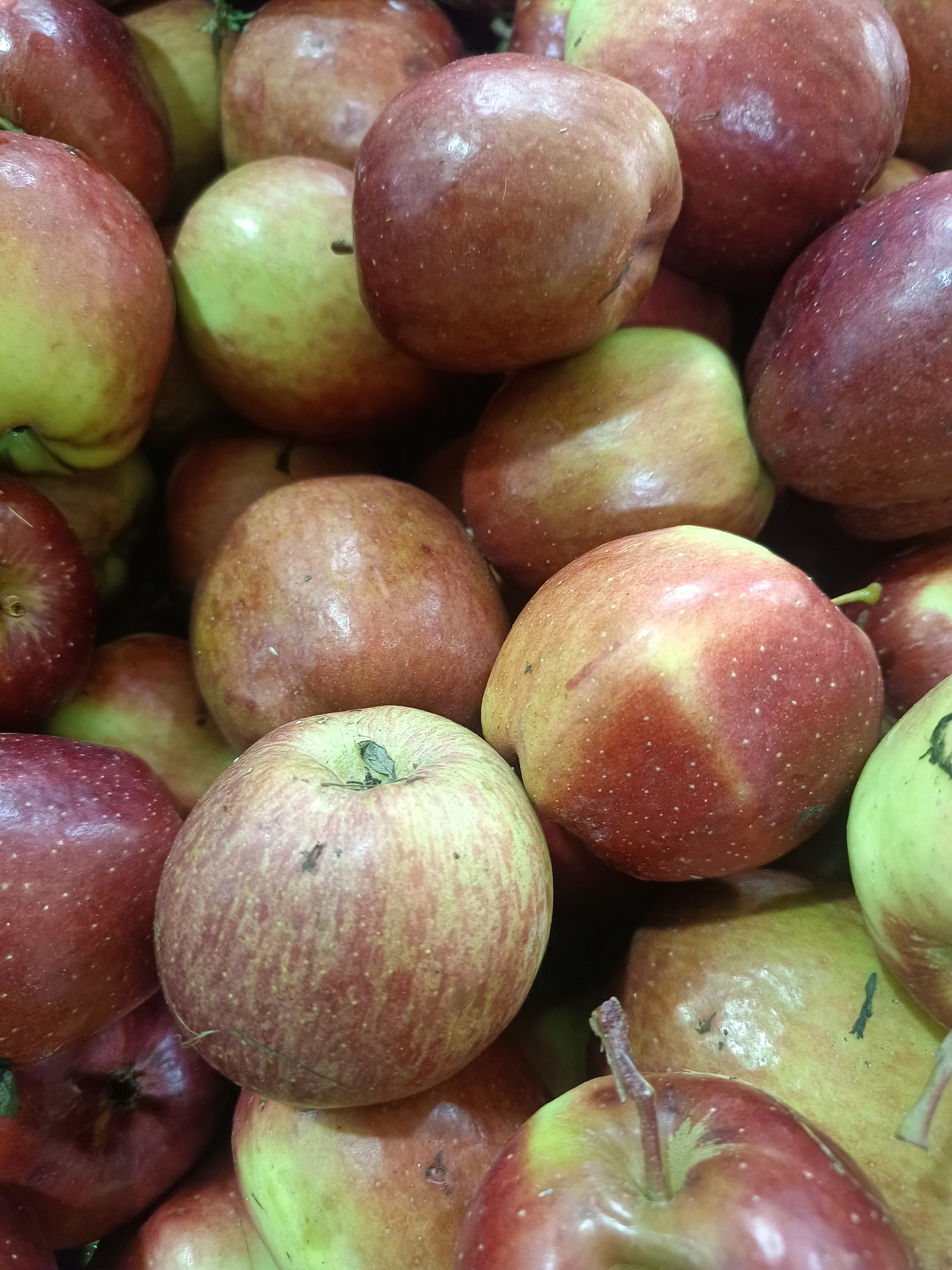 云南高山农民自种香甜丑苹果新鲜脆甜多汁当季水果