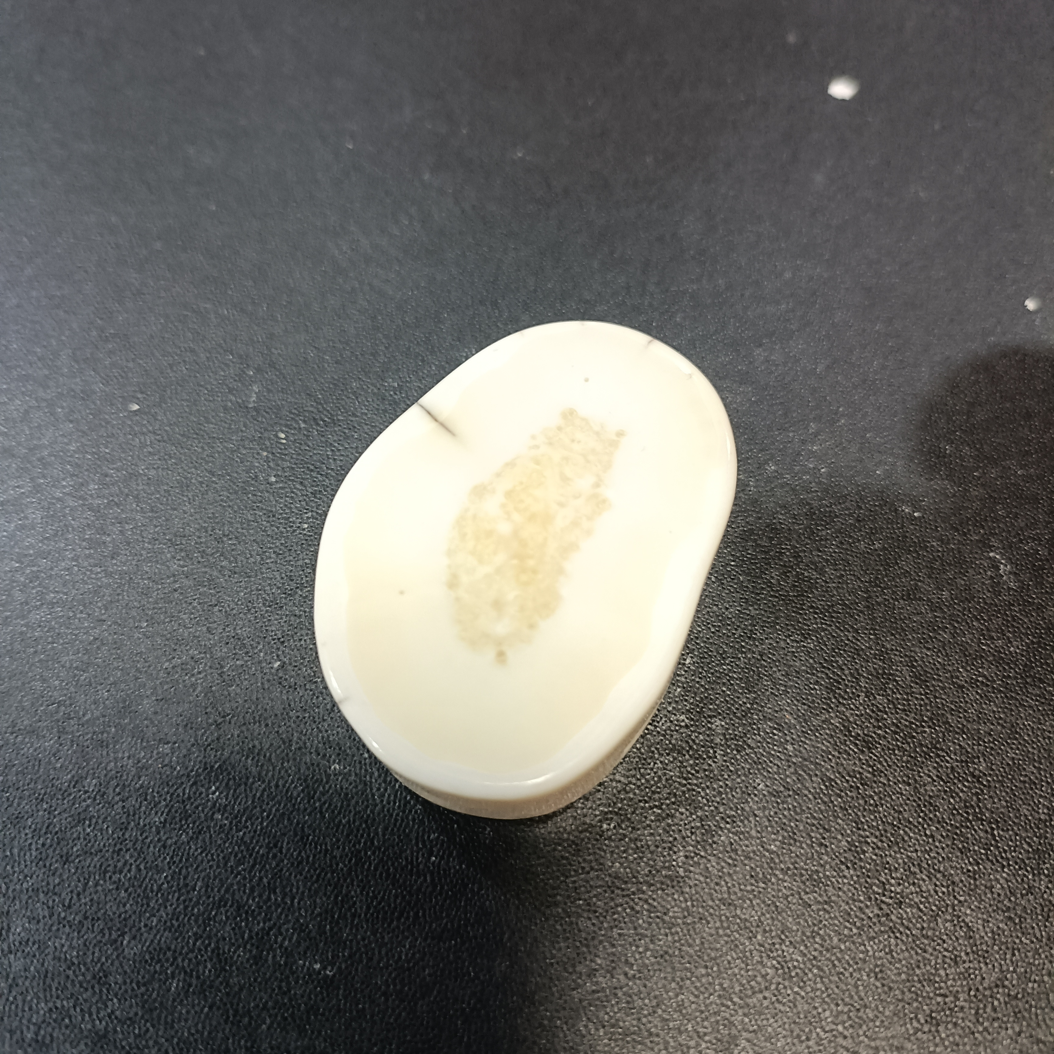 猛犸猛犸虬饼子WW633