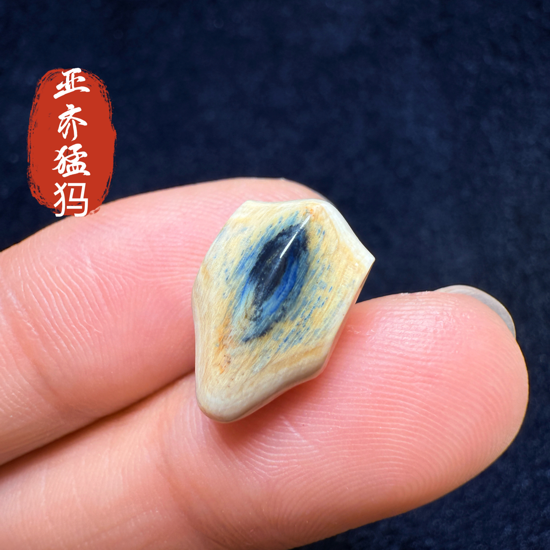 Y52猛犸象牙冰料蓝皮蓝眼睛鲨鱼背三通9.3*9*15