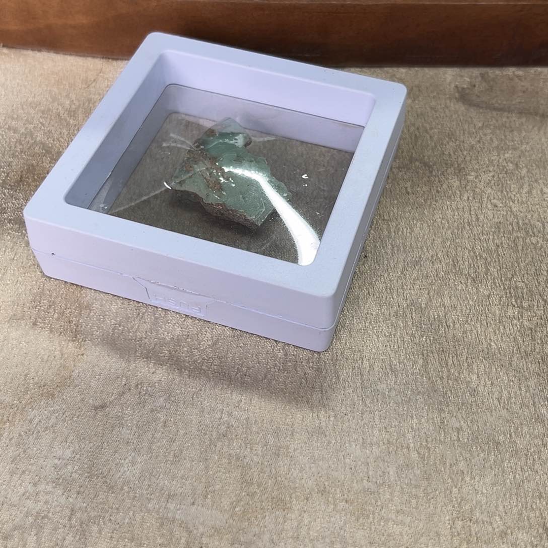 杯林*春仿古，水仙，二级