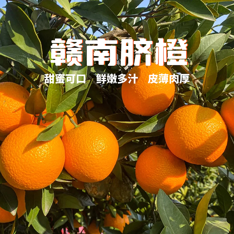 10斤正宗赣南脐橙江西赣州手剥橙孕妇新鲜应季水果