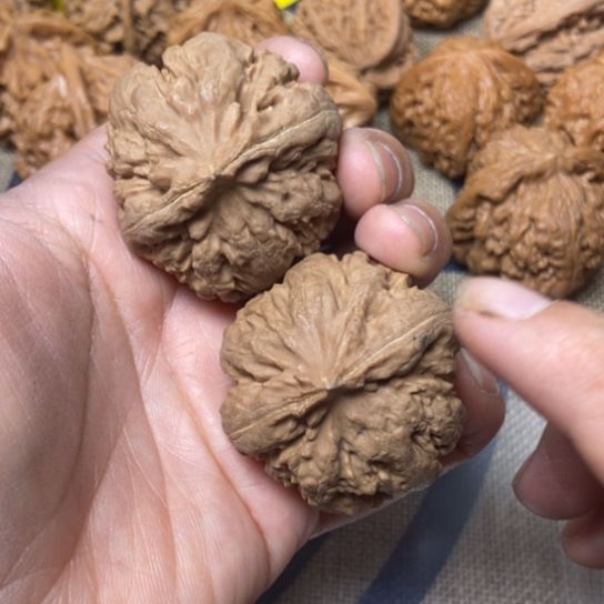 吊坠文玩核桃霸王龙