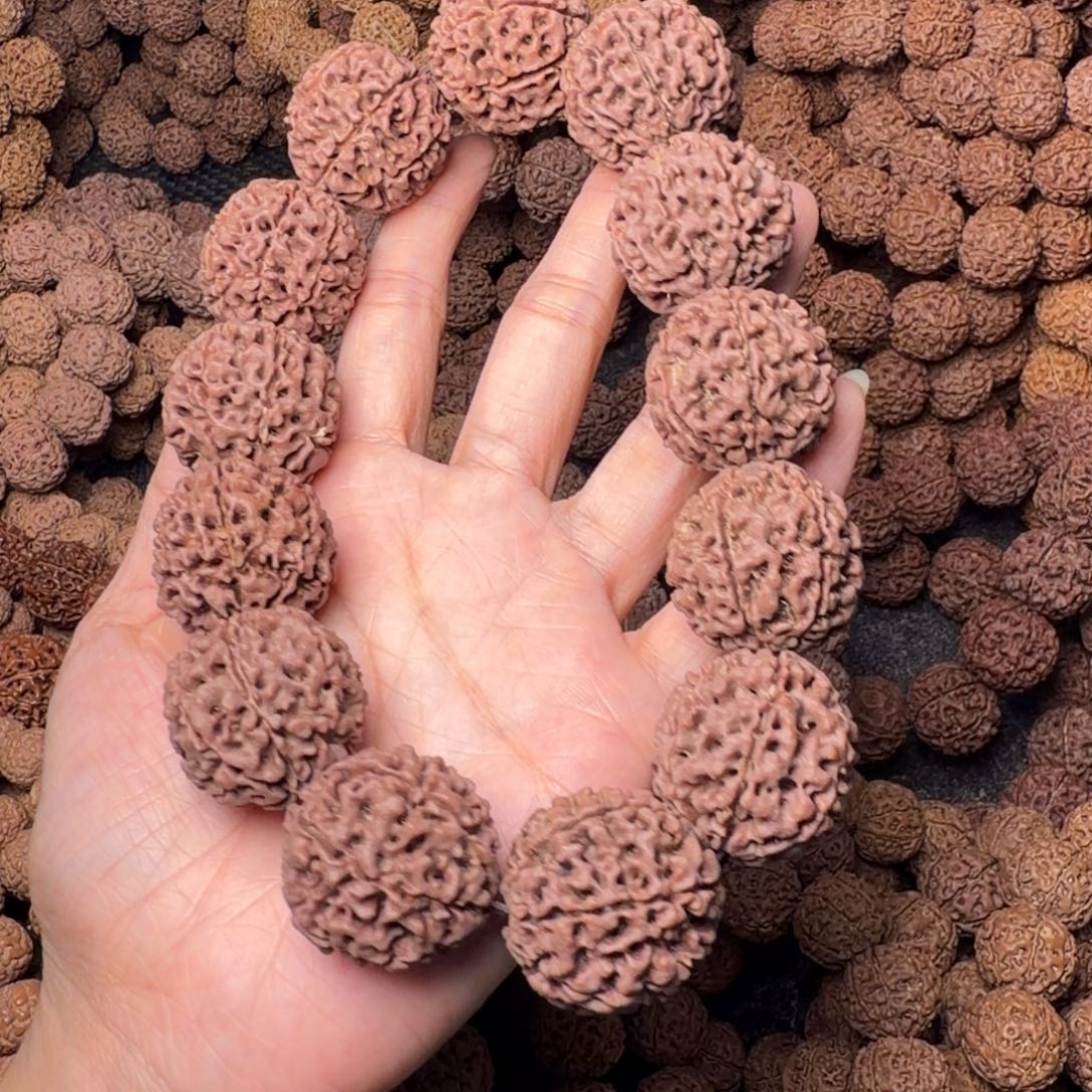 志***在金刚菩提手串7瓣卡28尺，106号