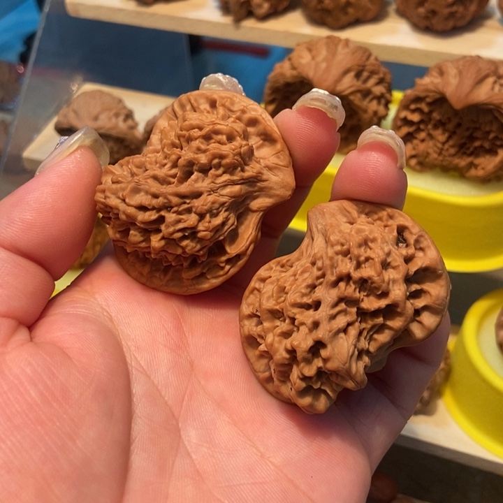 官方网站发布消息鸳鸯鸟