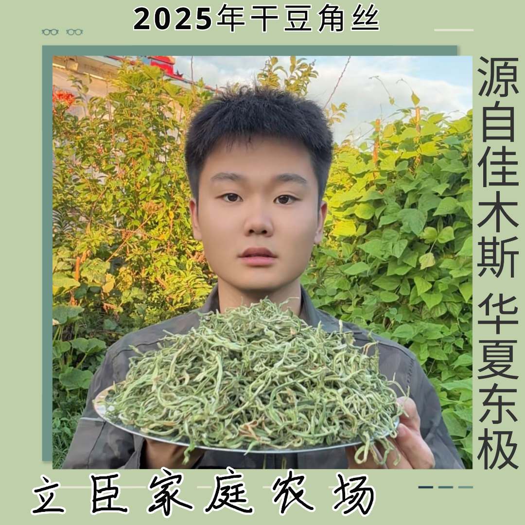 东北黑龙江农家油豆角丝 自然晾晒自产自销老百姓农民小圆采摘