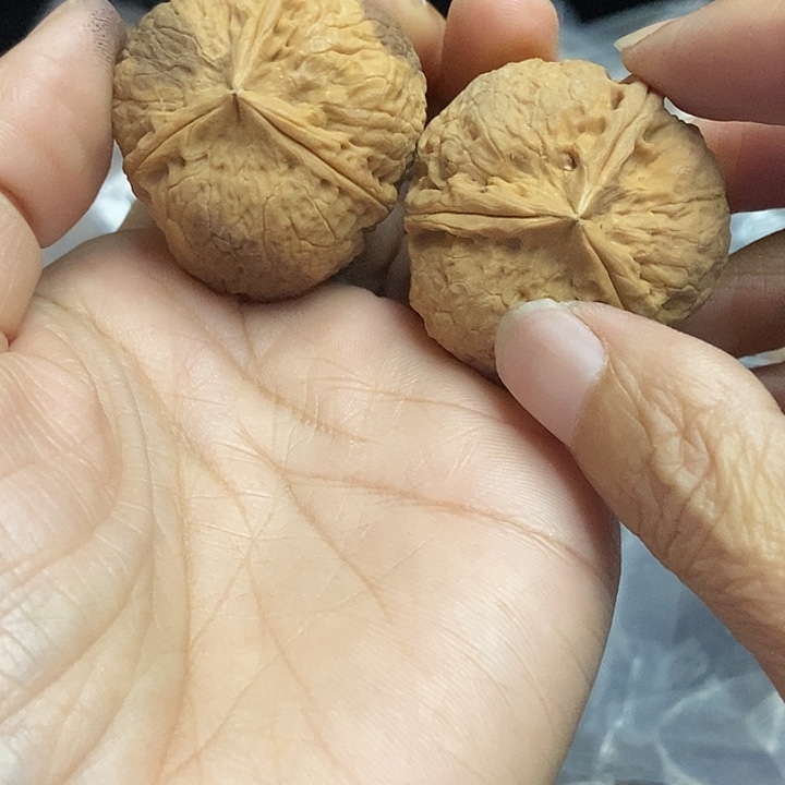 木质类云南铁核桃+92