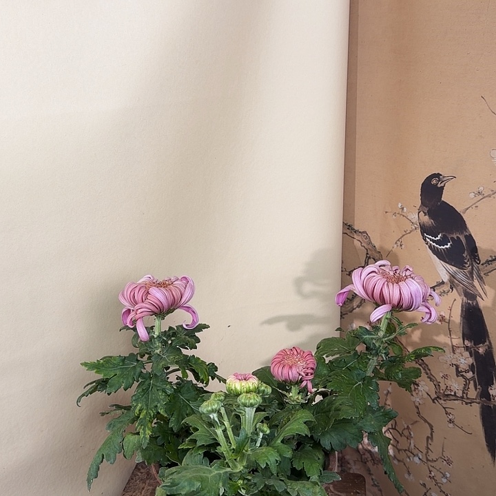 完全开放E5555555