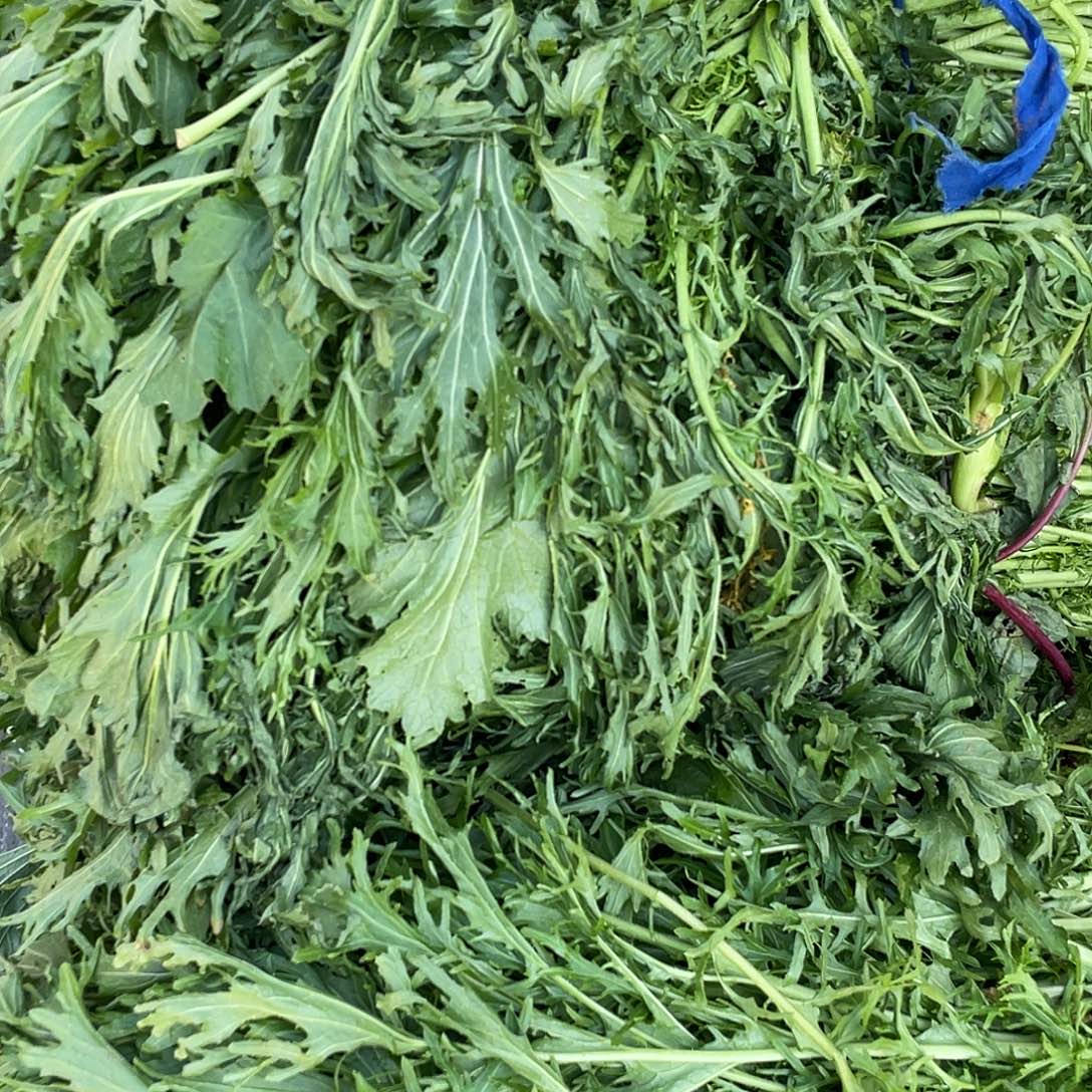 中国大陆雪里蕻三斤含箱赶集