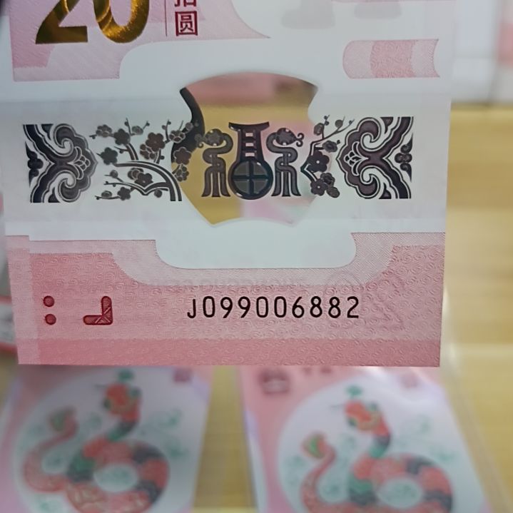 塑料蛇钞号码如图所示099006882龙珠