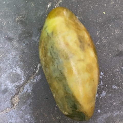 未镶嵌和田玉（糖玉）挂件