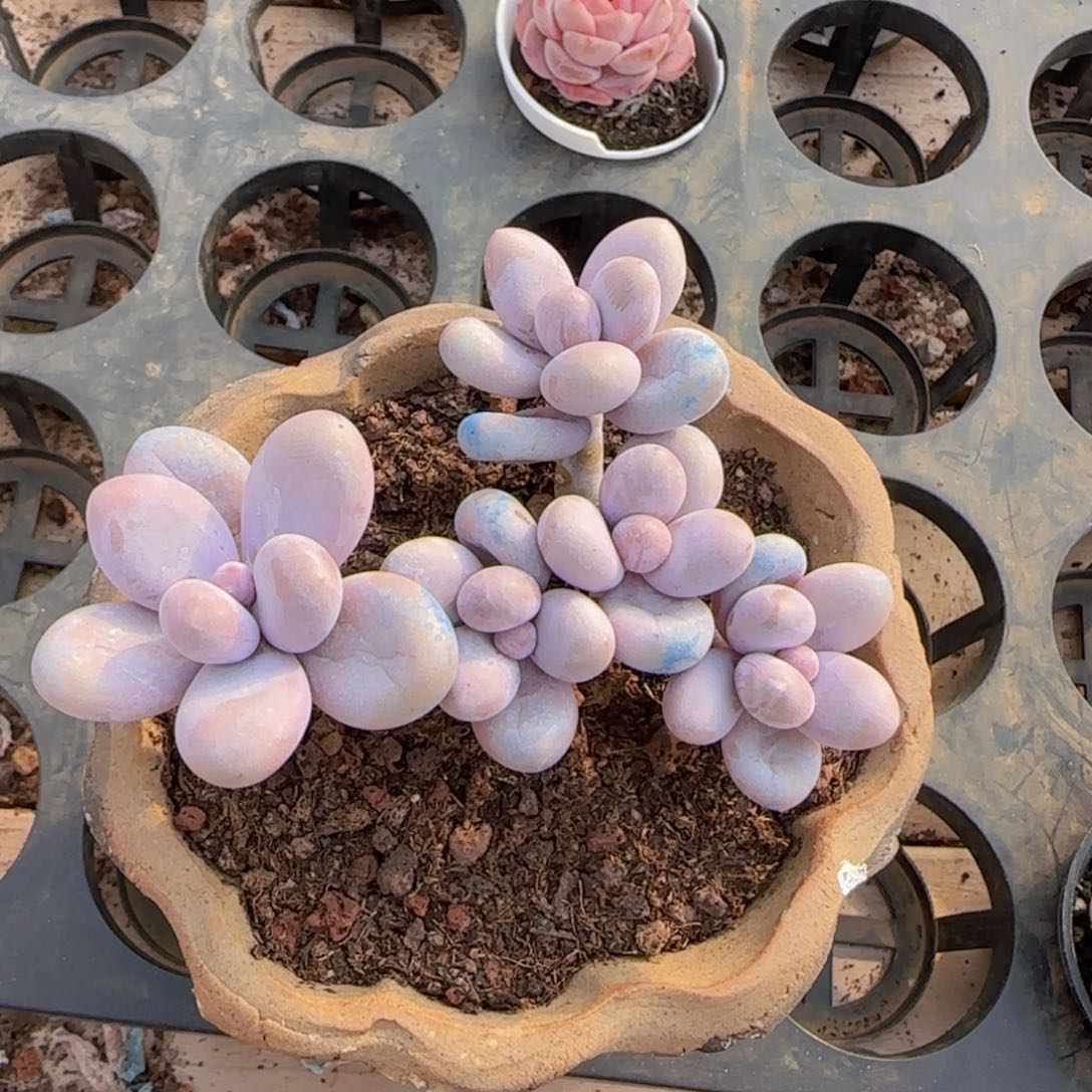 一物一拍满28包邮