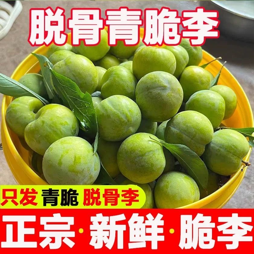 贵州正宗青脆脱骨李四月李新鲜应季孕妇水果水果脆甜多汁现摘现发