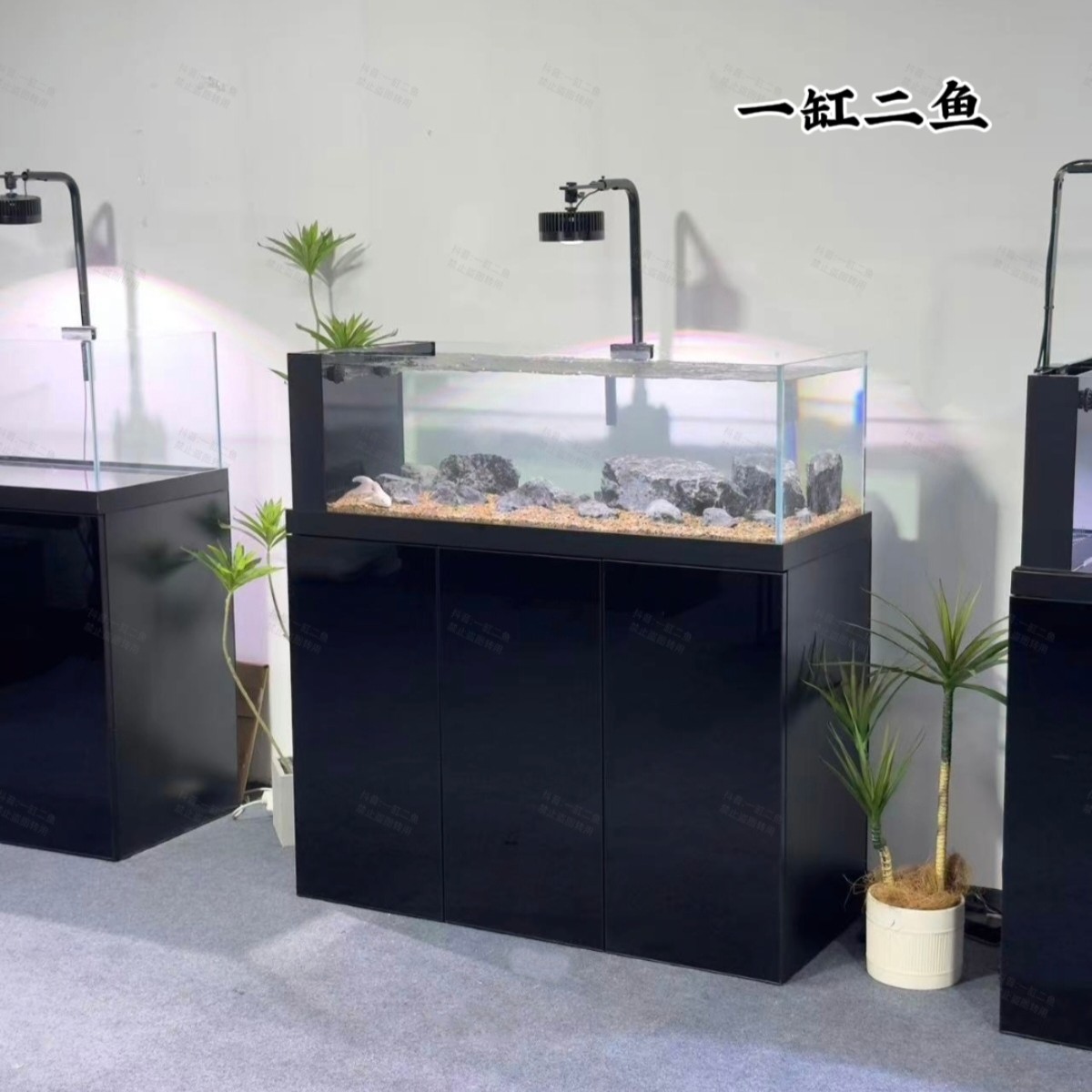 ①❤️双12活动新款溪流缸鱼缸底滤大型客厅家用 吉罗 慈鲷 金鱼精养